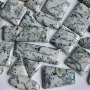 Tree Agate