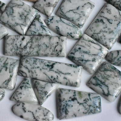 Tree Agate