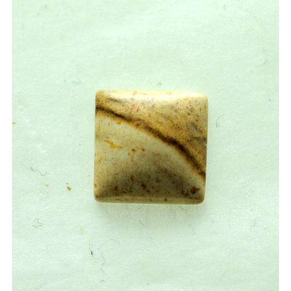 Picture Jasper 10mm Square Shaped Cabochon