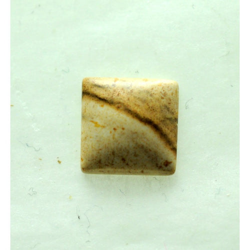 Picture Jasper 10mm Square Shaped Cabochon