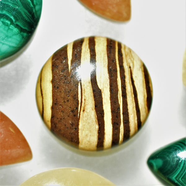 Zebra Jasper 20mm Round Cabochon