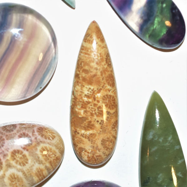 Fossil Coral 30x10mm Pear Cut Cabochon