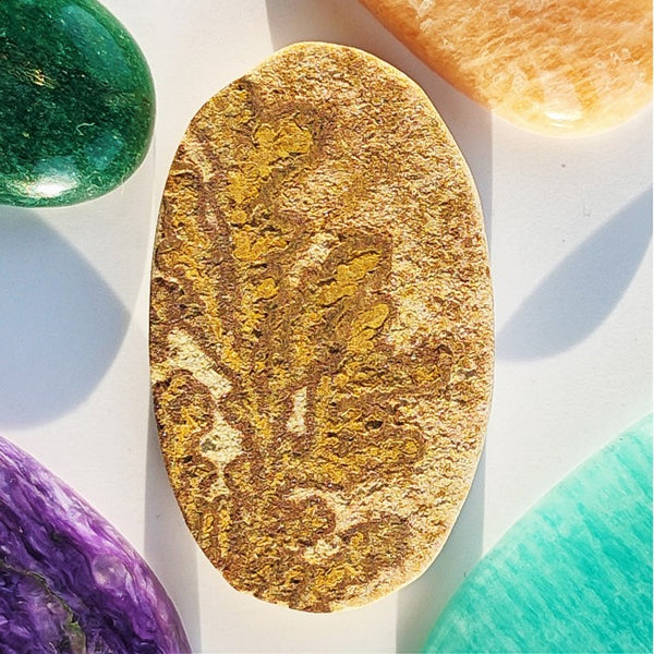 Psilomelane Dendrite 33x20mm Oval Cabochon