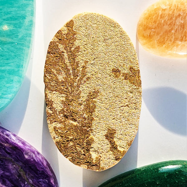 Psilomelane Dendrite 35x21mm Oval Cabochon