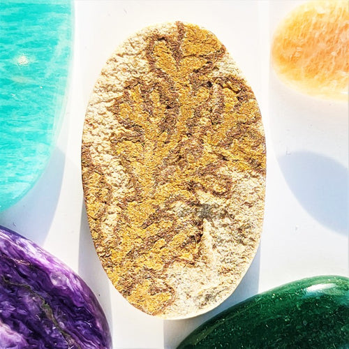 Psilomelane Dendrite 38x24mm Oval Gemstone