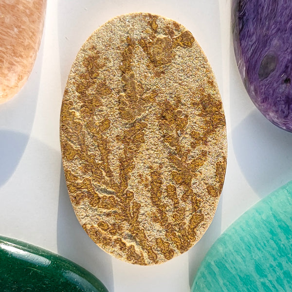 Psilomelane Dendrite 39x25mm Oval Cabochon