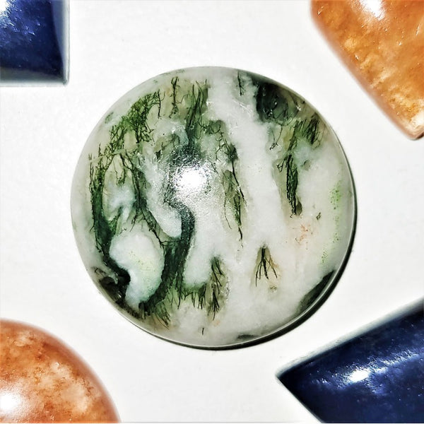 Tree Agate  20mm Round Cabochon