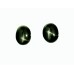 Black Star Diopside 9x7mm Oval Gemstone Cabochon Pair