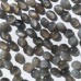 Gray Moonstone 11x9mm Oval Cabochon
