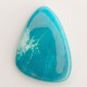 Turquoise 23x17mm Free-Form Fancy Cut Cabochon