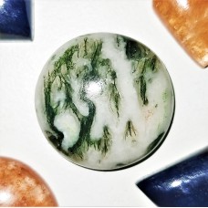 Tree Agate  20mm Round Cabochon